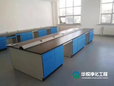 寧夏實驗室凈化~潔凈實驗室建設(shè)施工要點選擇華銳凈化的優(yōu)勢