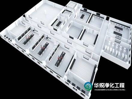 寧夏實驗室凈化設(shè)計的主要目標是什么？