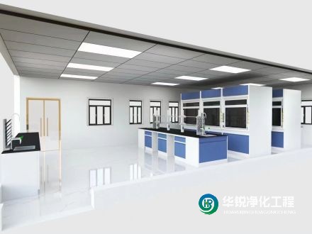 寧夏實驗室凈化設(shè)計的主要目標有哪些具體實現(xiàn)方式？